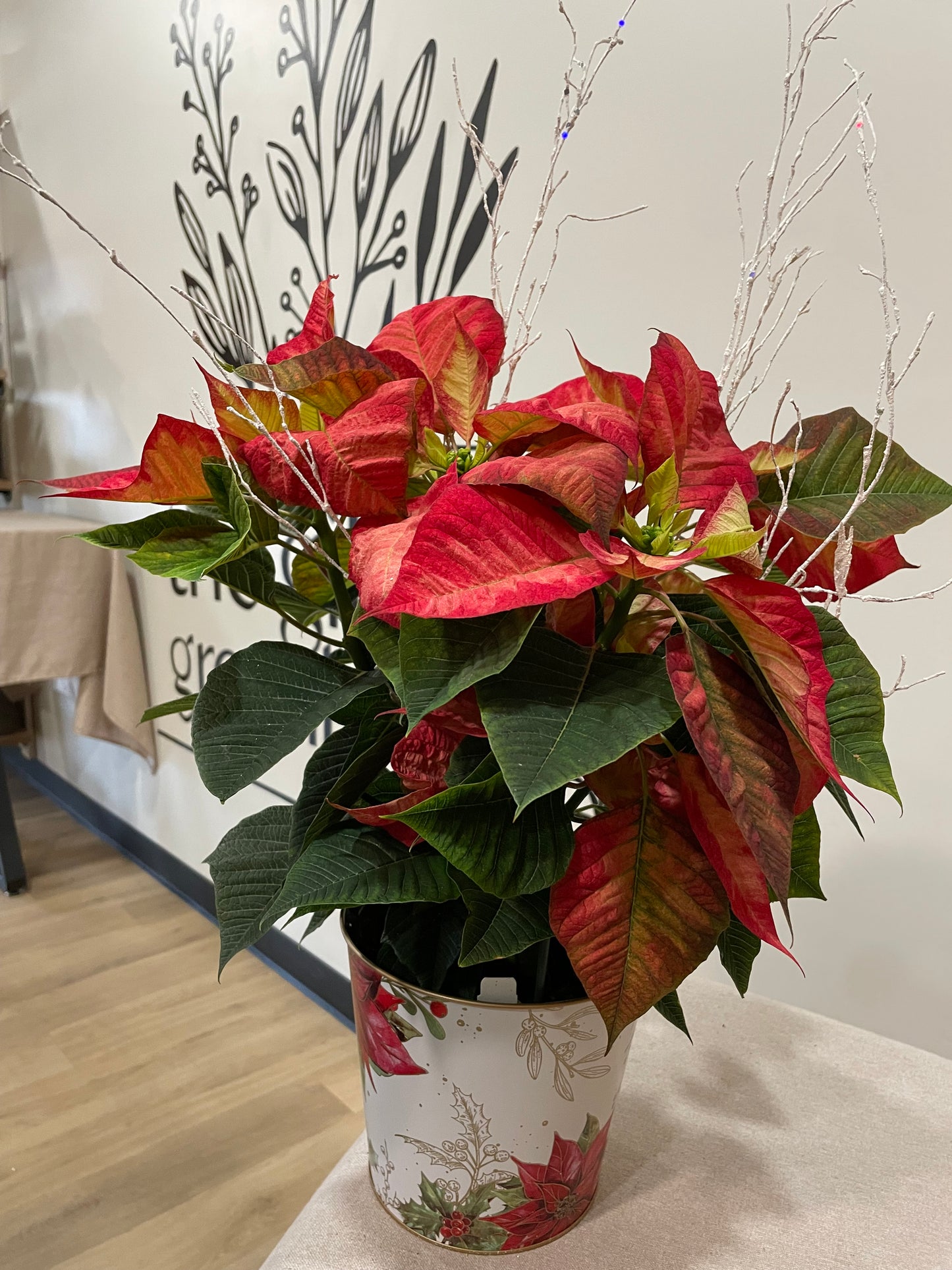 4.5" Poinsettia