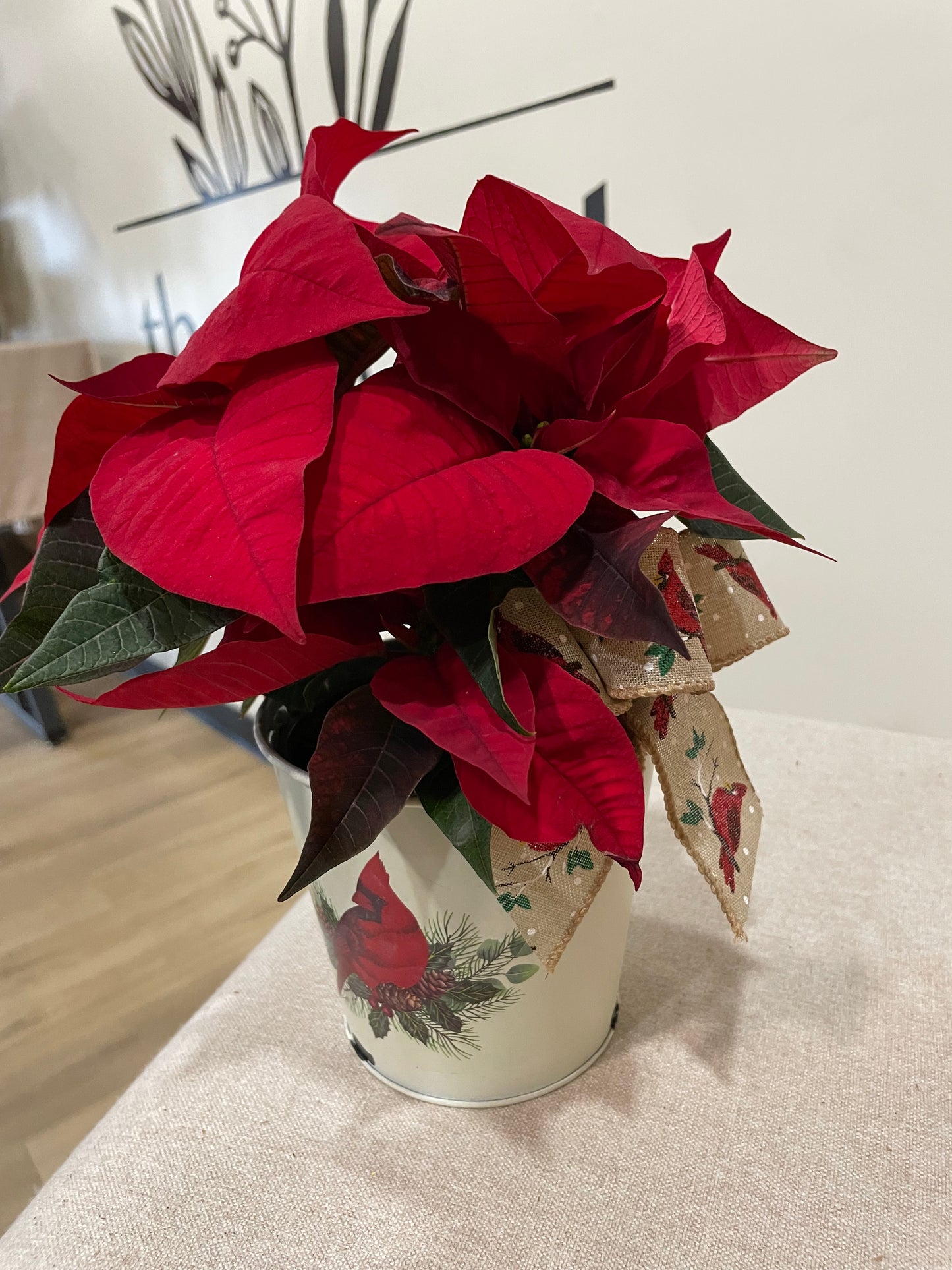 4.5" Poinsettia