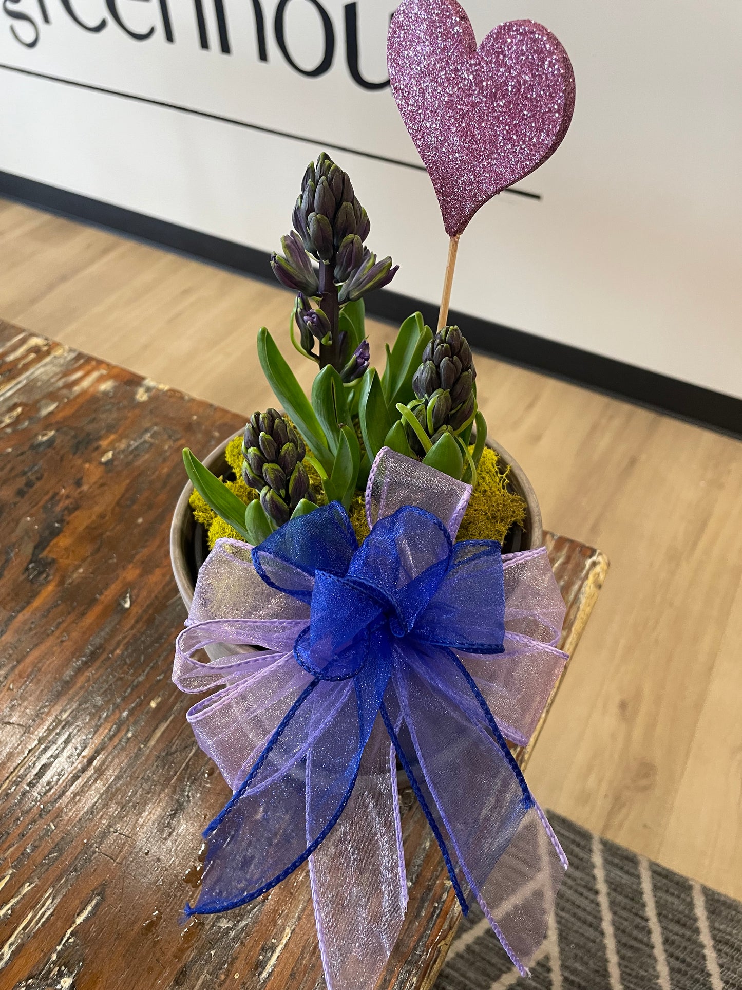 Hyacinth Bulb Garden (Pink or Blue)