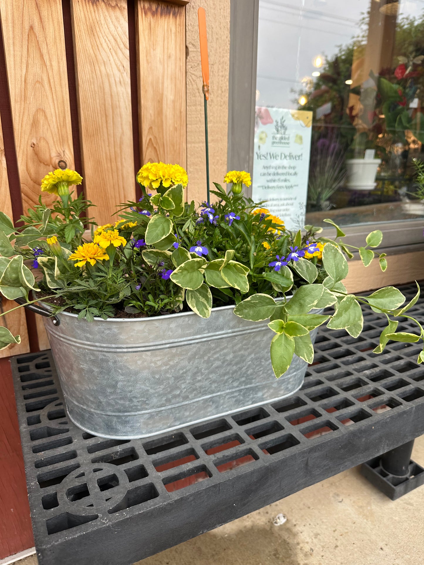 Outdoor Planter - Metal Oval Tin