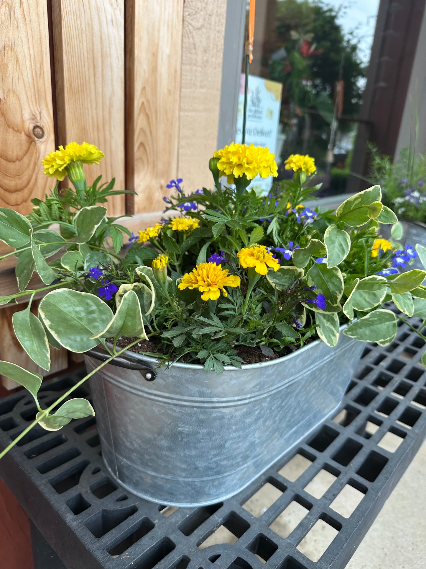 Outdoor Planter - Metal Oval Tin