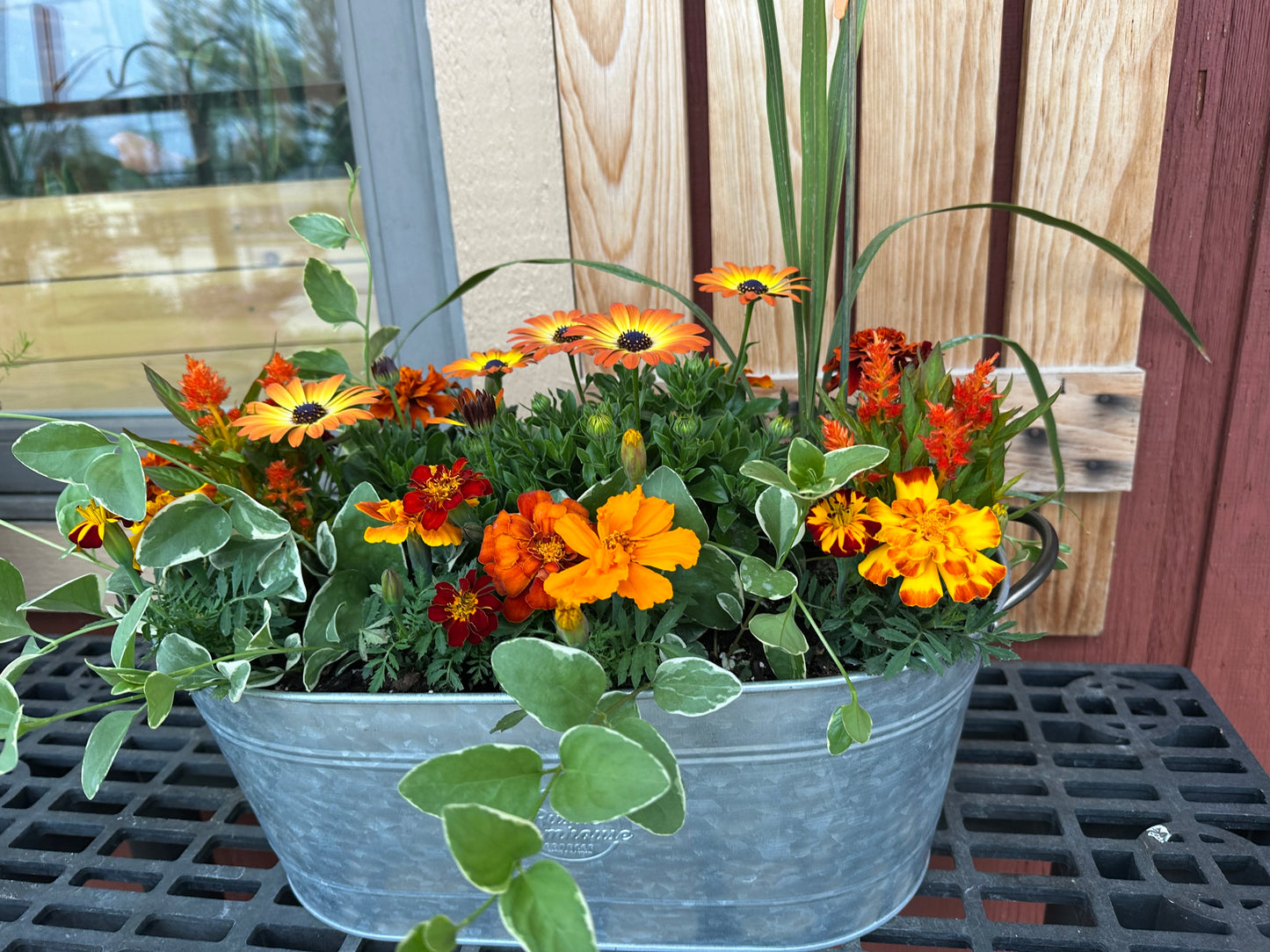 Outdoor Planter - Metal Oval Tin