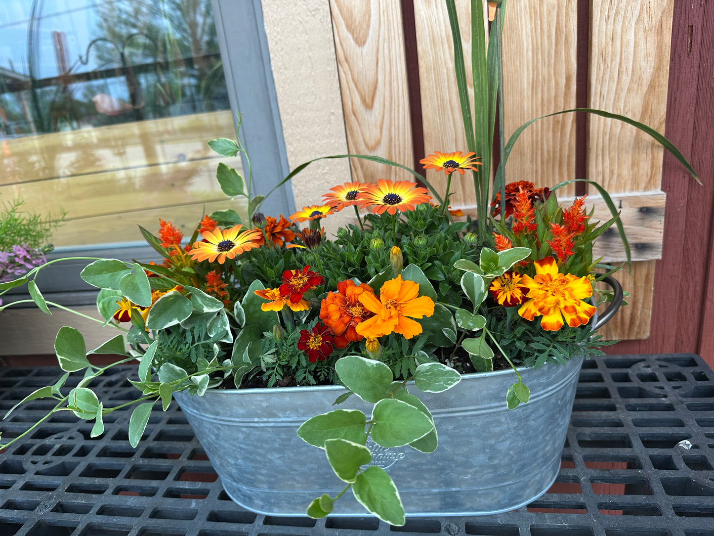 Outdoor Planter - Metal Oval Tin