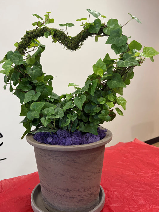 English Ivy Moss Heart