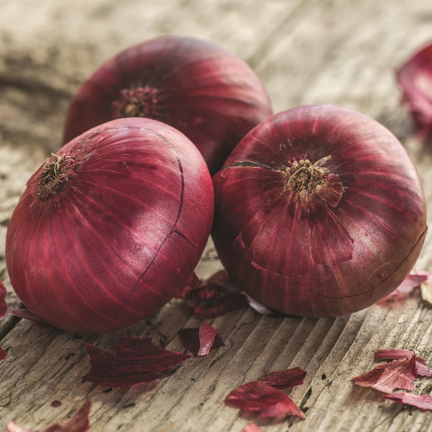 Onion Red (3-pack)