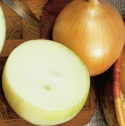 Onion Sweet Spanish (6-pack, 12 starts)