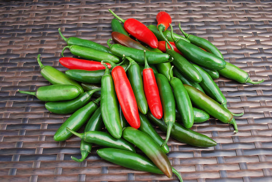 Pepper Serrano (3-pack)