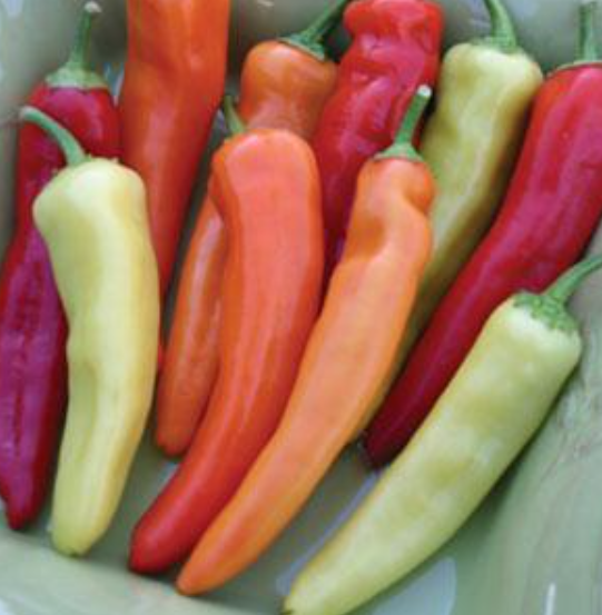 Pepper Hungarian Hot Wax (3.5" pot)