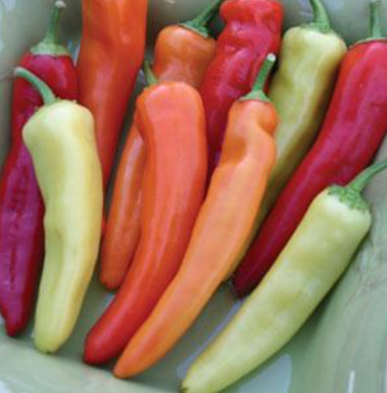Pepper Hot Wax (3-pack)