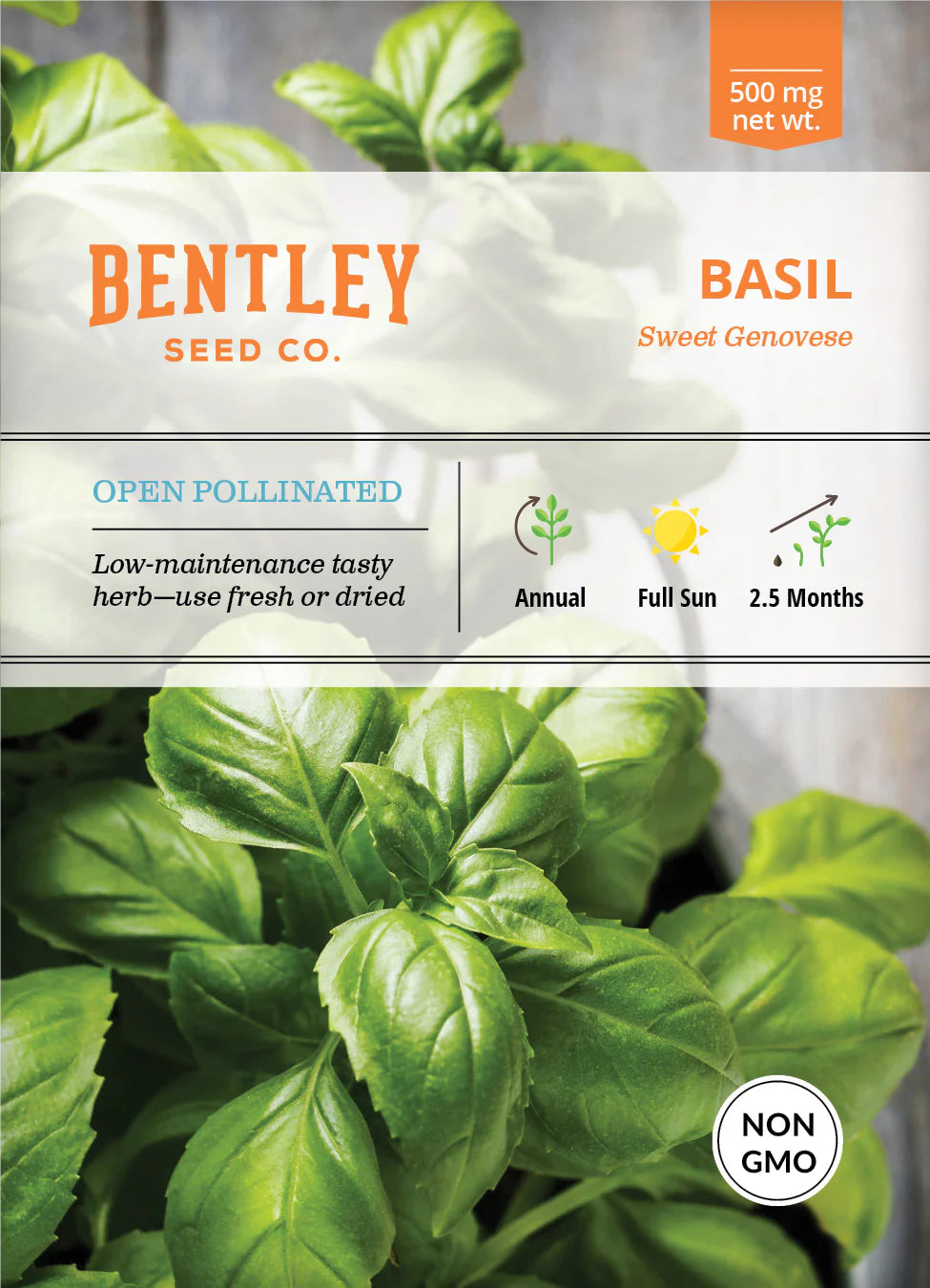 Basil - Sweet Genovese