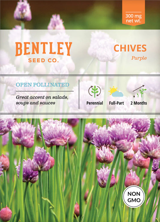 Chives - Purple