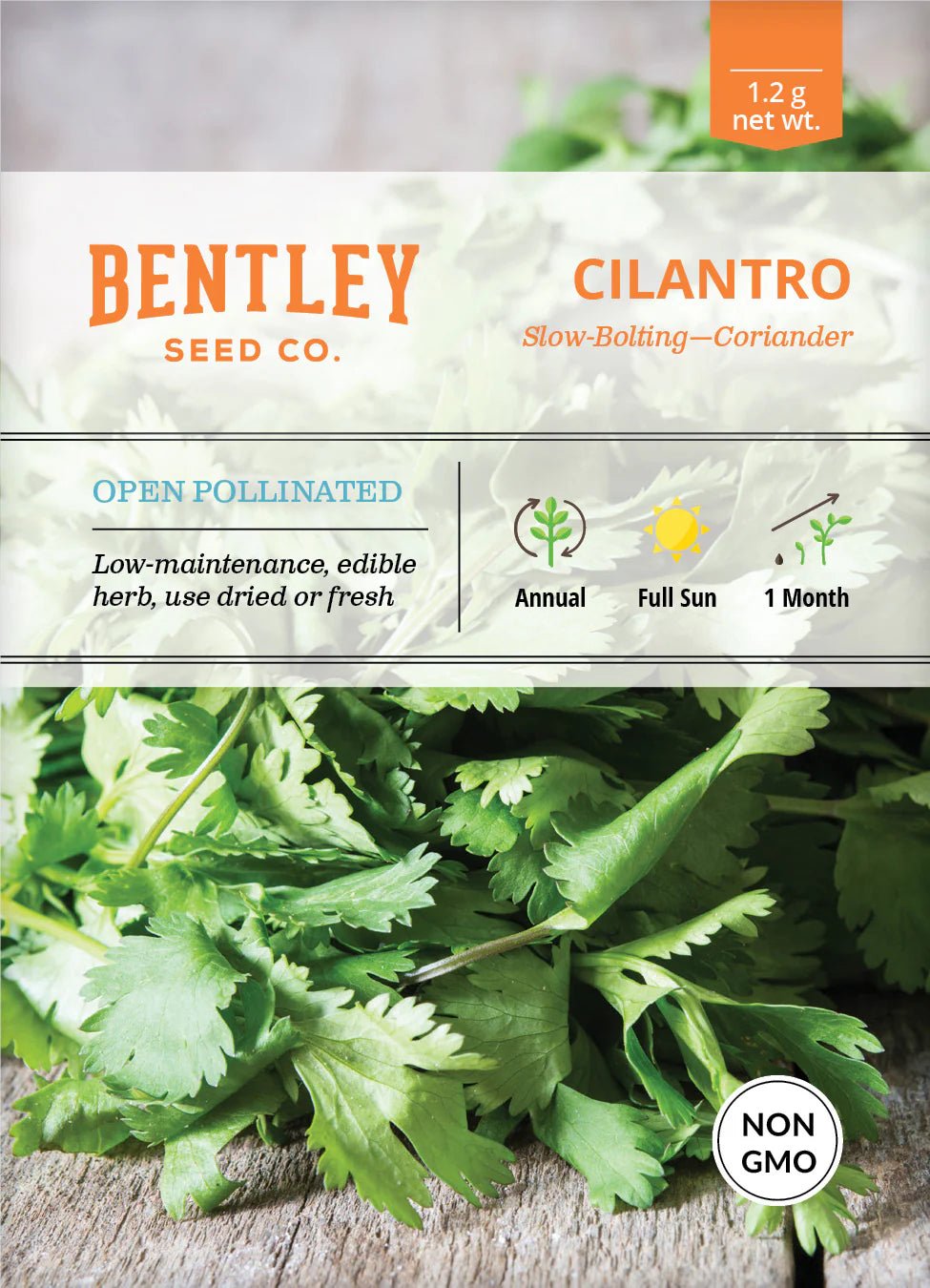 Cilantro - Slow Bolting, Corriander