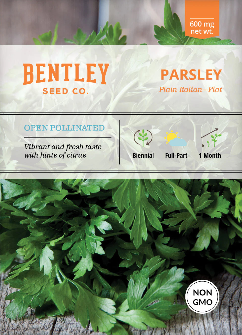 Parsley - Plain Italian, Flat