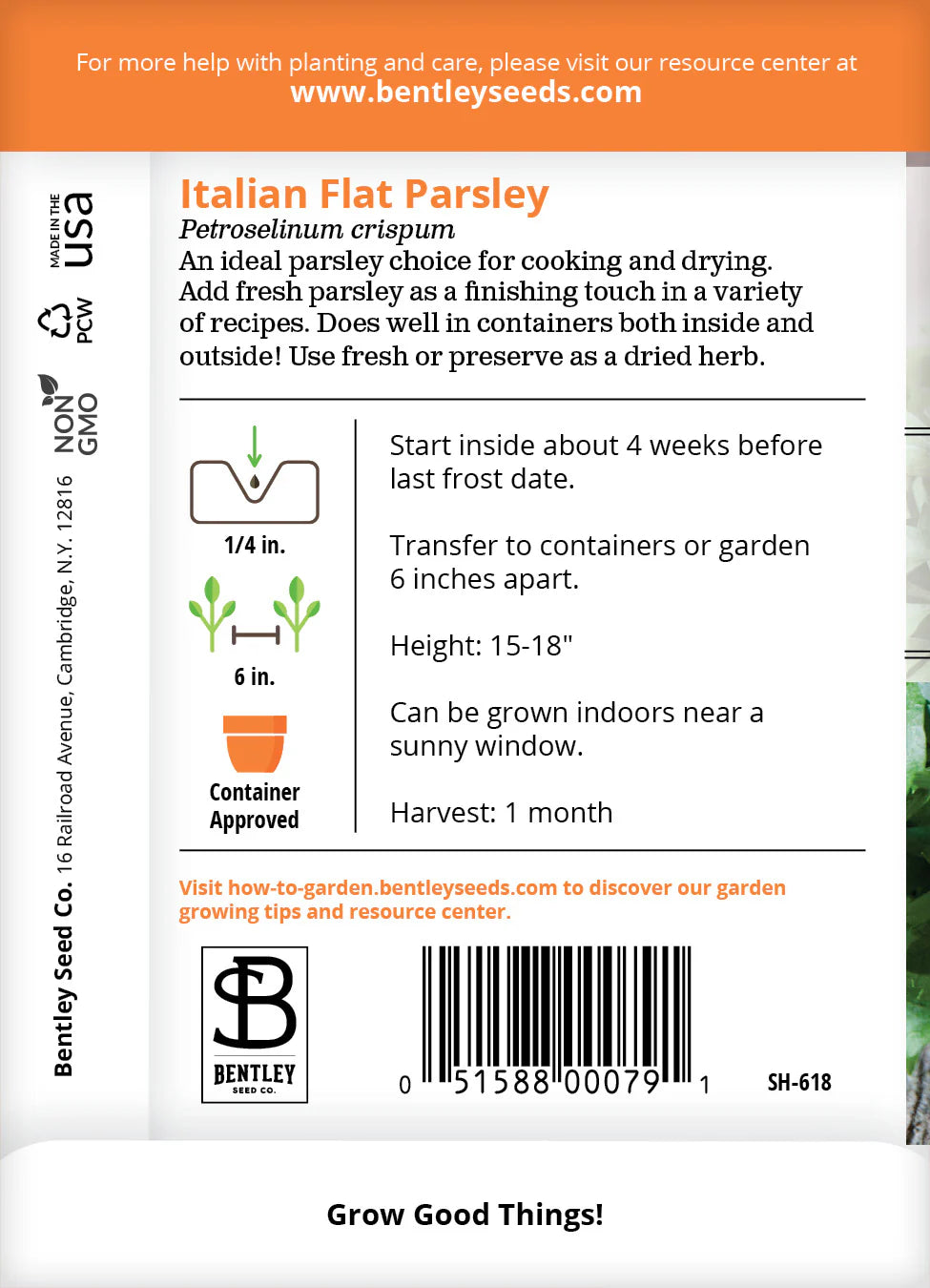 Parsley - Plain Italian, Flat