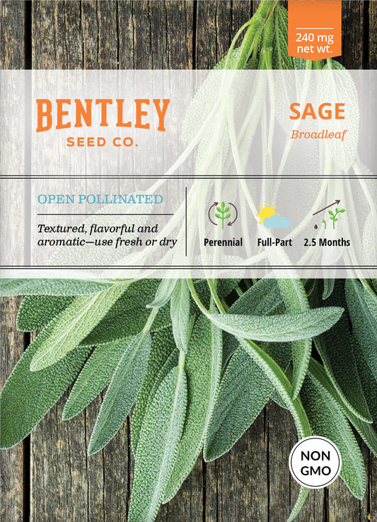 Sage - Broadleaf