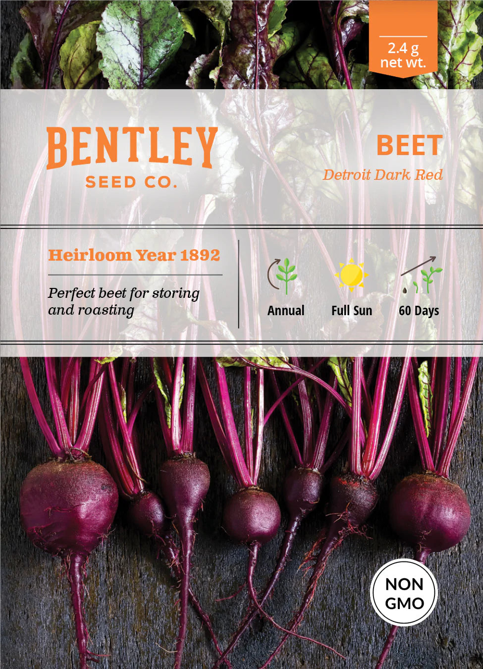Beet - Detroit Dark Red