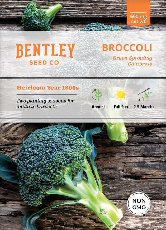 Broccoli - Green Sprouting Calabrese