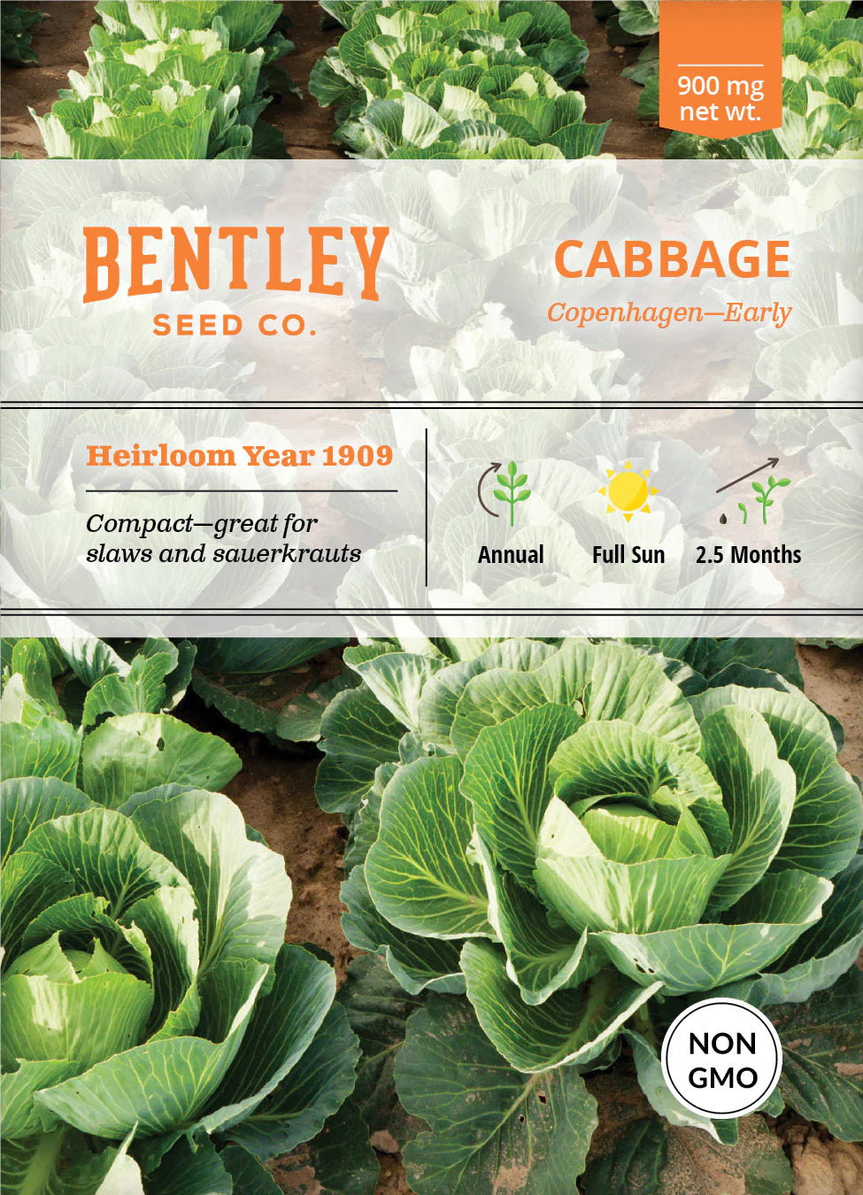 Cabbage - Copenhagen, Early – The Gilded Greenhouse