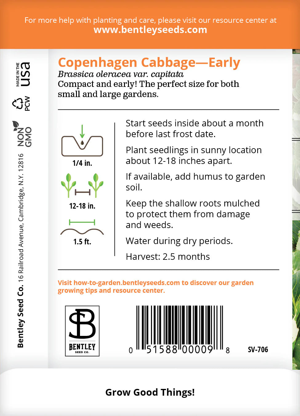 Cabbage - Copenhagen, Early