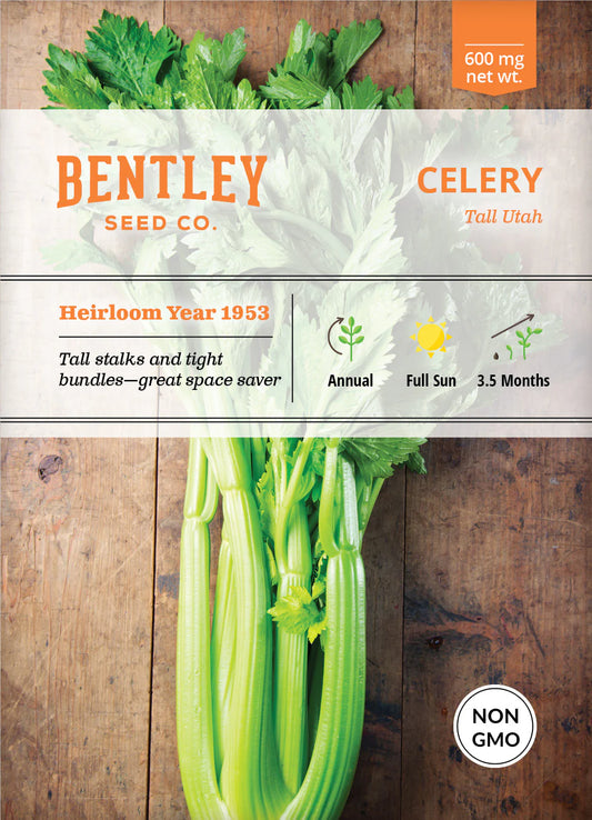 Celery - Tall Utah