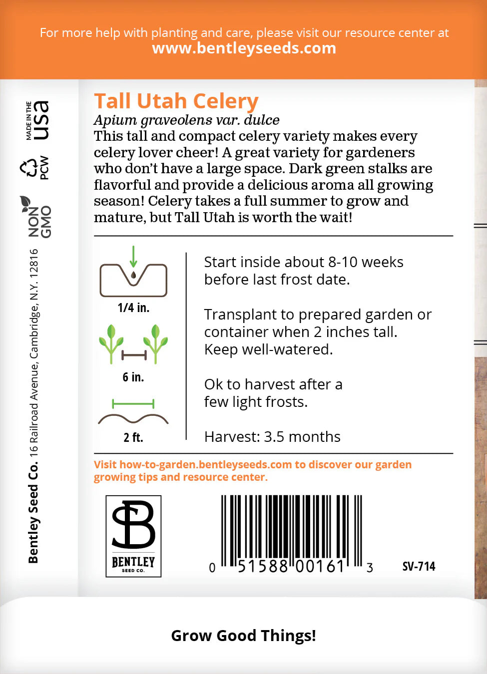 Celery - Tall Utah