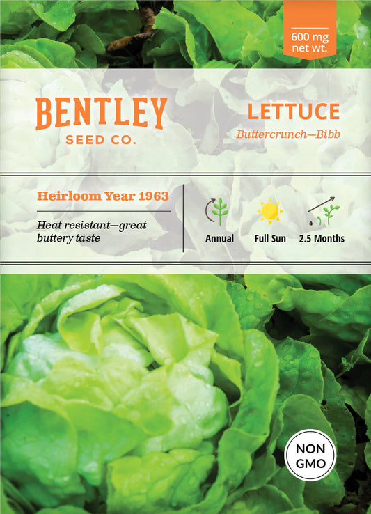 Lettuce - Buttercrunch, Bibb