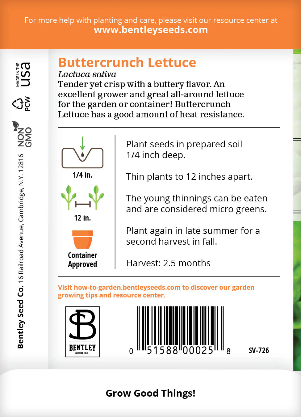 Lettuce - Buttercrunch, Bibb