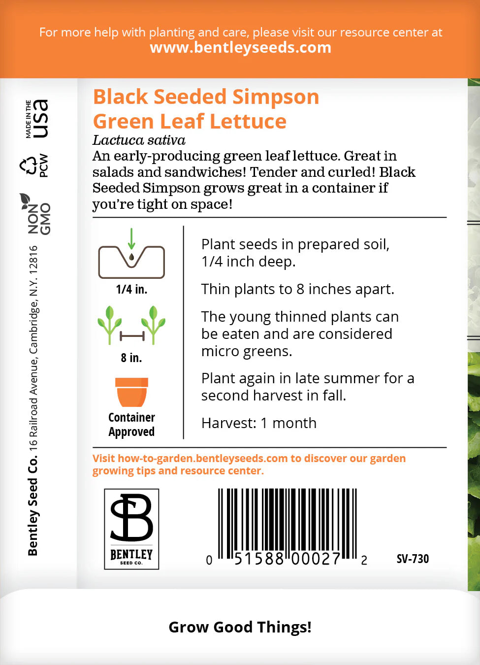 Lettuce - Black Seeded Simpson, Green Leaf