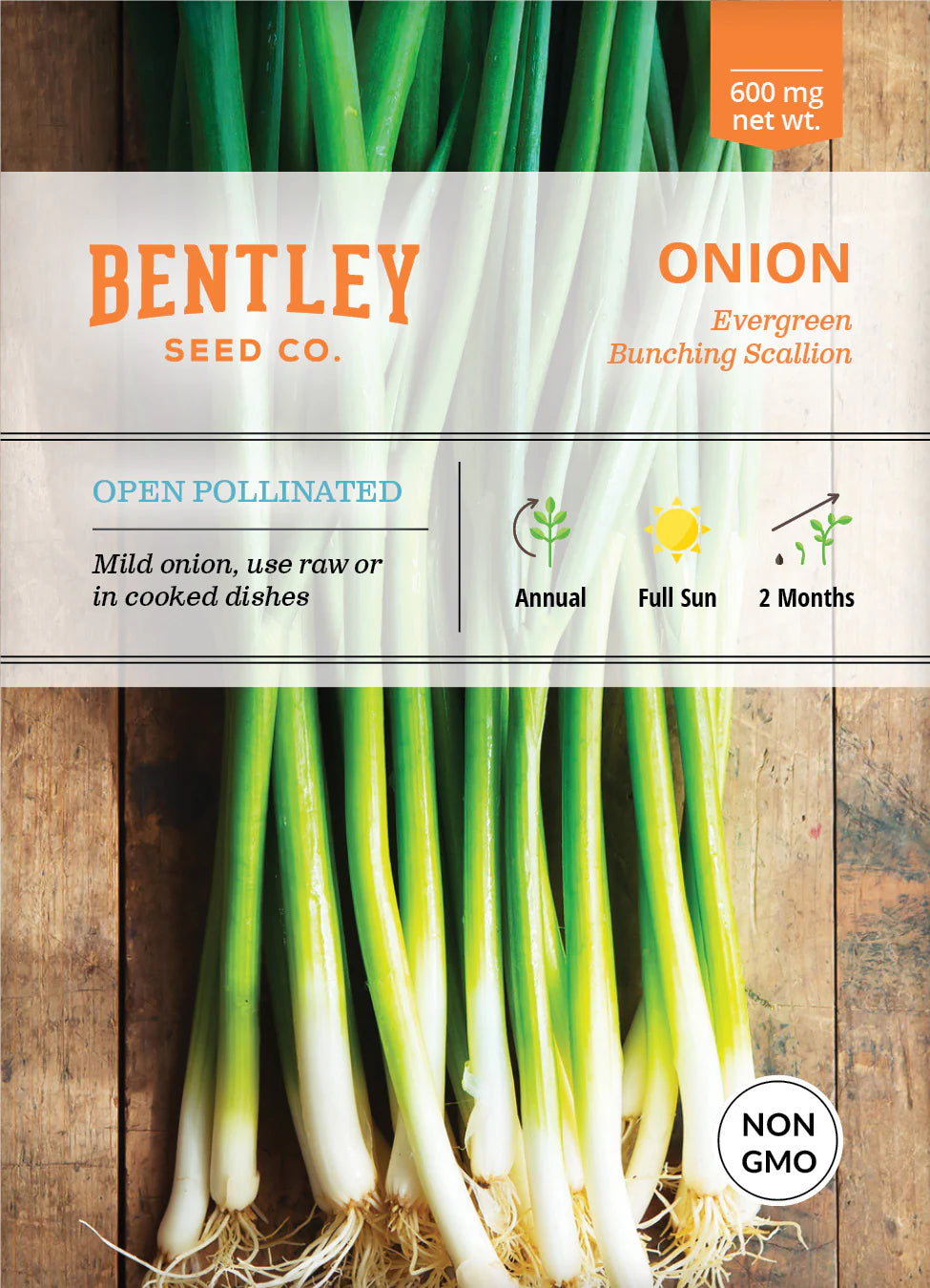 Onion - Evergreen Bunching Scallion