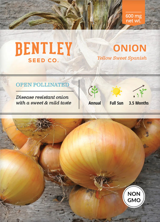Onion - Yellow Sweet Spanish