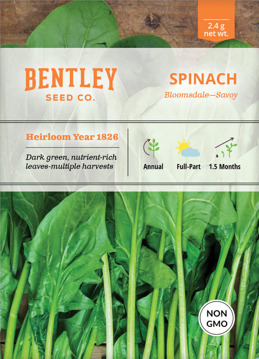 Spinach - Bloomsdale, Savoy