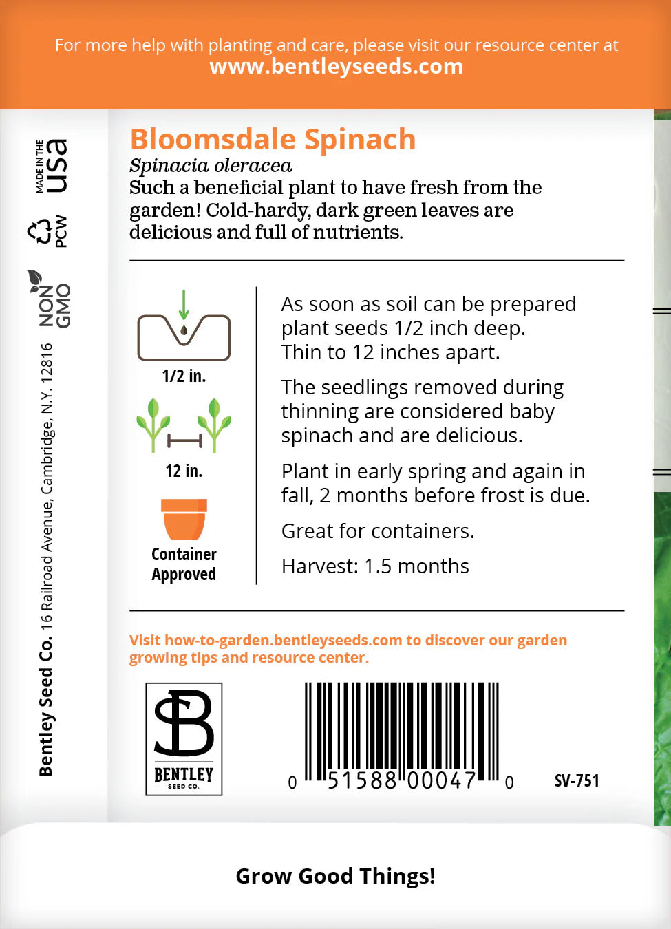 Spinach - Bloomsdale, Savoy