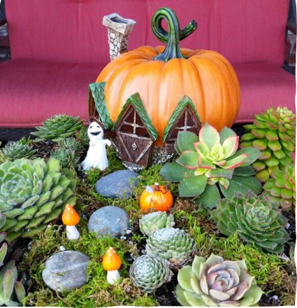 Spooky Succulent Fairy Garden Class