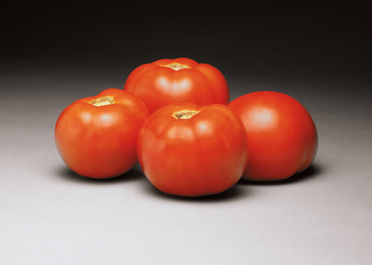 Tomato Better Bush (6" pot)