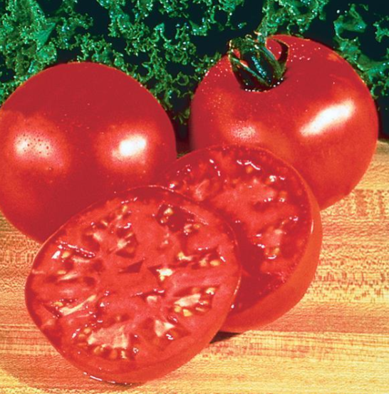 Tomato Burpee Big Boy (6" pot)