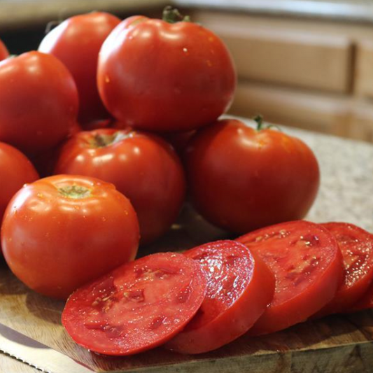 Tomato Celebrity Plus (6" pot)