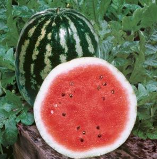 Watermelon Crimson Sweet (3.5" pot)