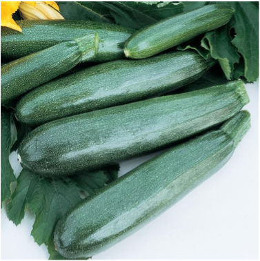 Zucchini (3-pack)