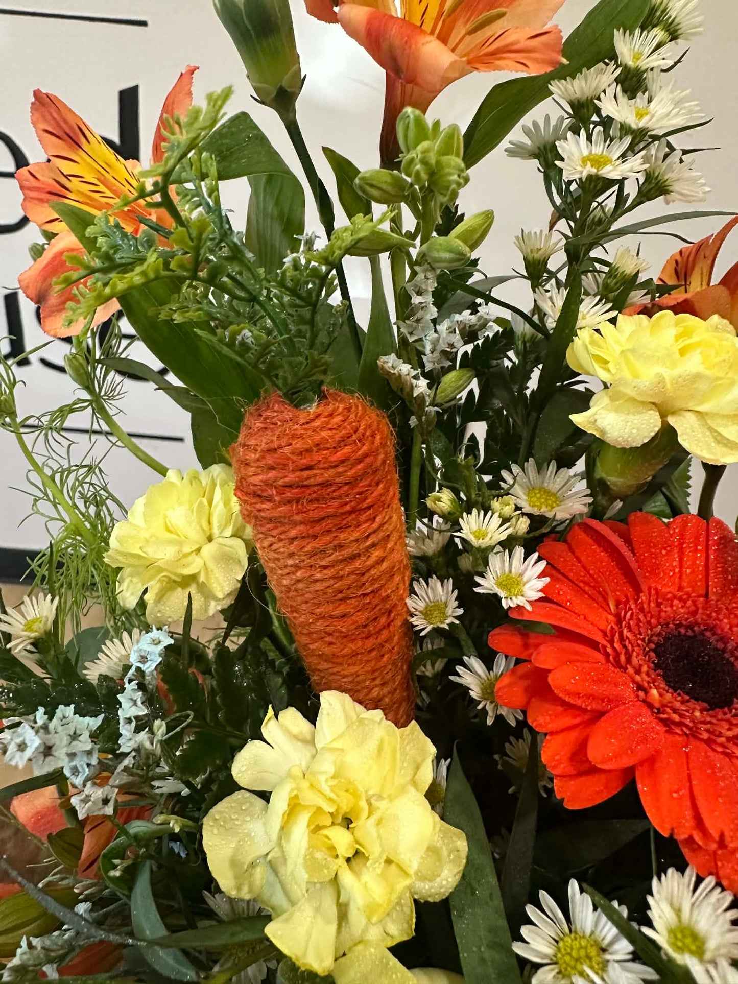 Cabbage Carrot!