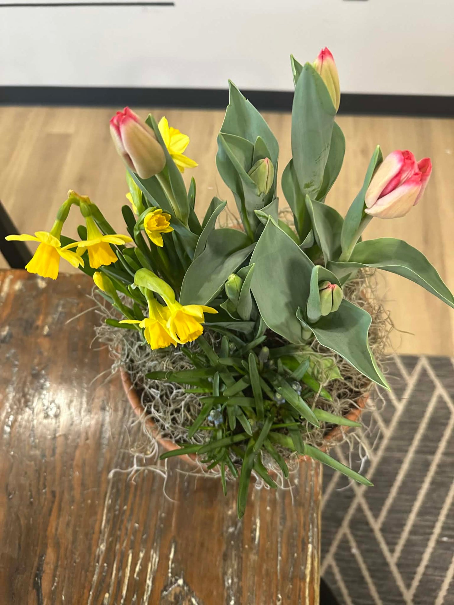Spring Bulb Garden
