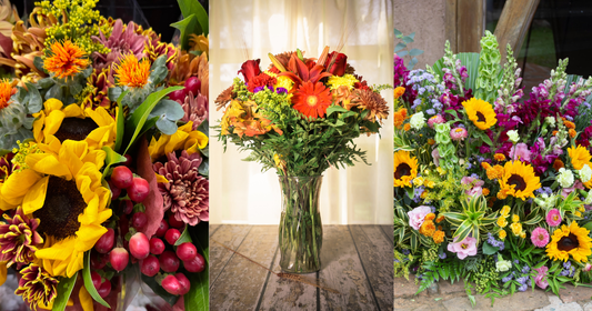 Fall Designer's Choice