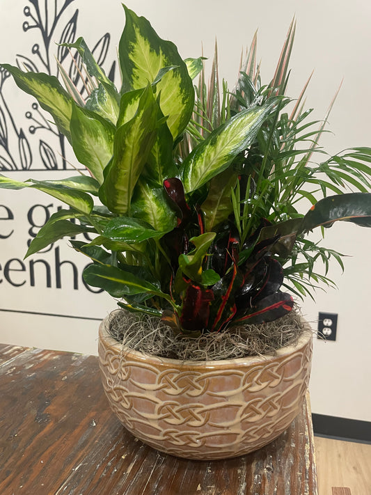 10" Dish Garden