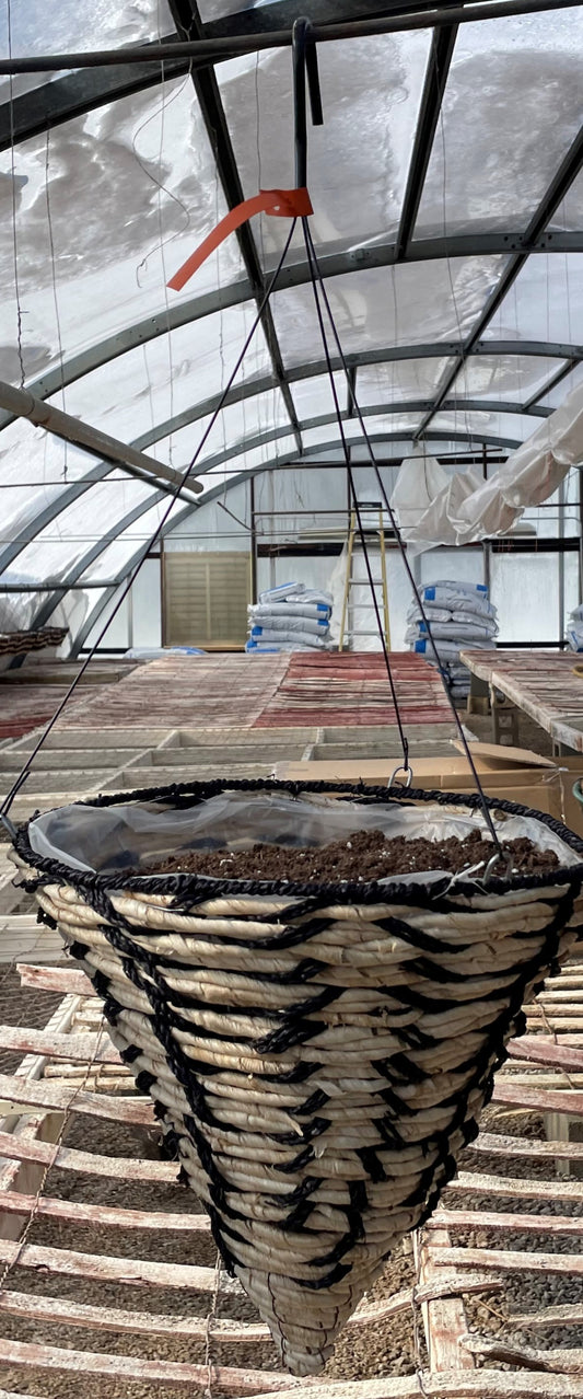 Hanging Basket - ORANGE TAG - Large Cone