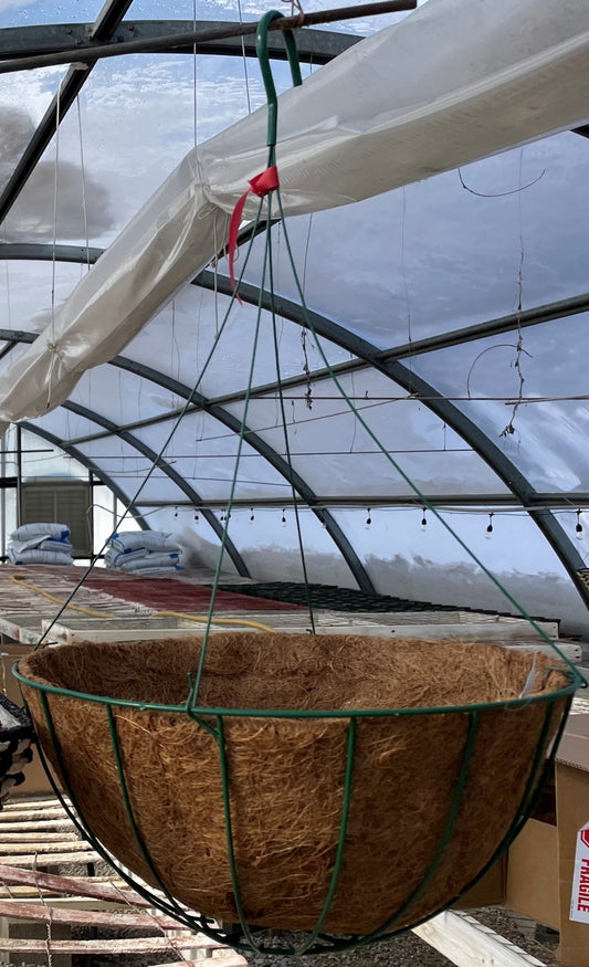 Hanging Basket - RED TAG - Large Green Metal with Coco Mat