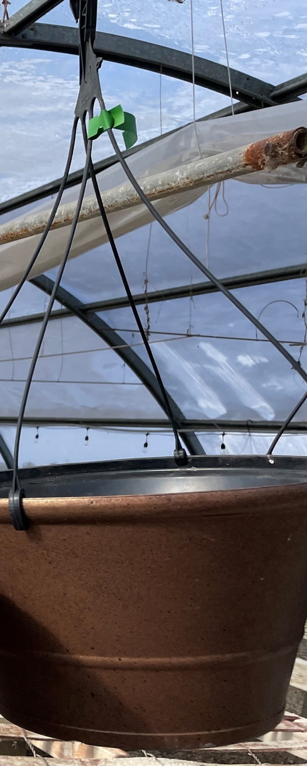 Hanging Basket - GREEN TAG - Copper plastic