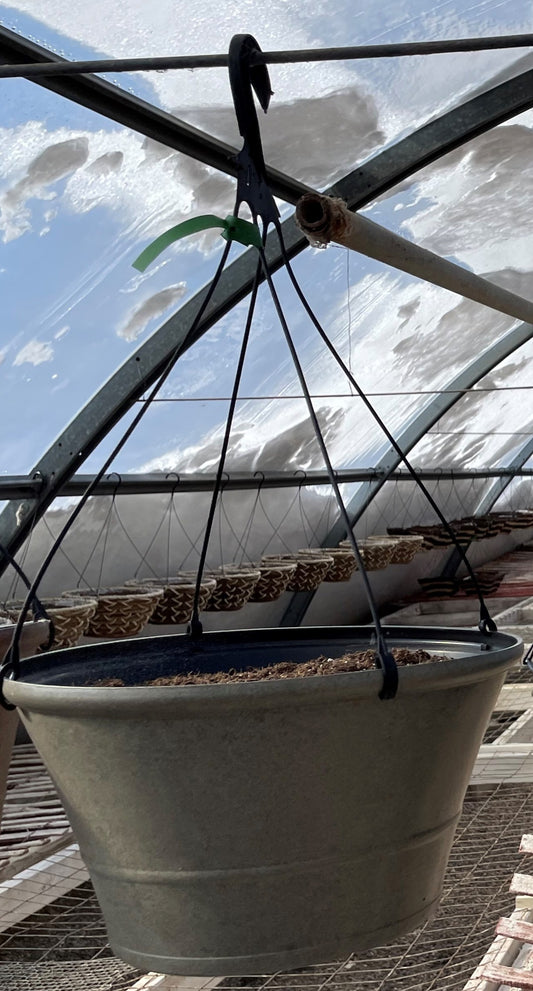 Hanging Basket - GREEN TAG - Silver plastic