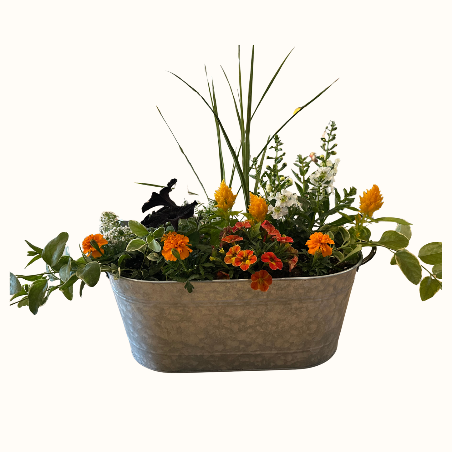 Outdoor Planter - Metal Oval Tin