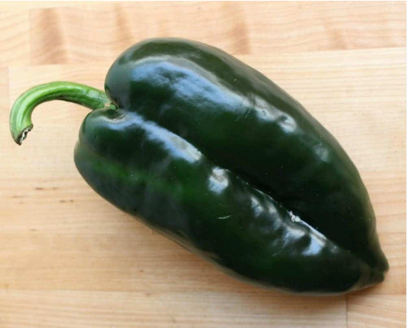 Pepper Pablano (3.5" pot)