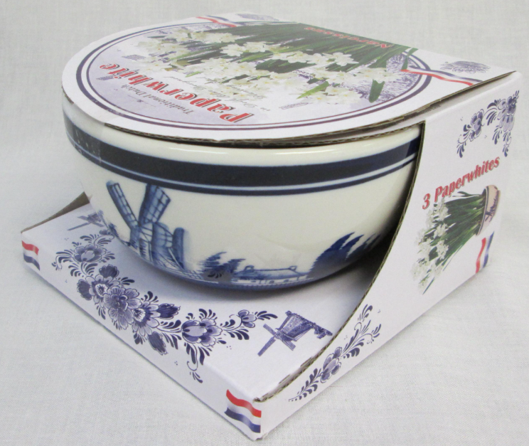 Narcissi Paperwhites Kit - Delft Blue