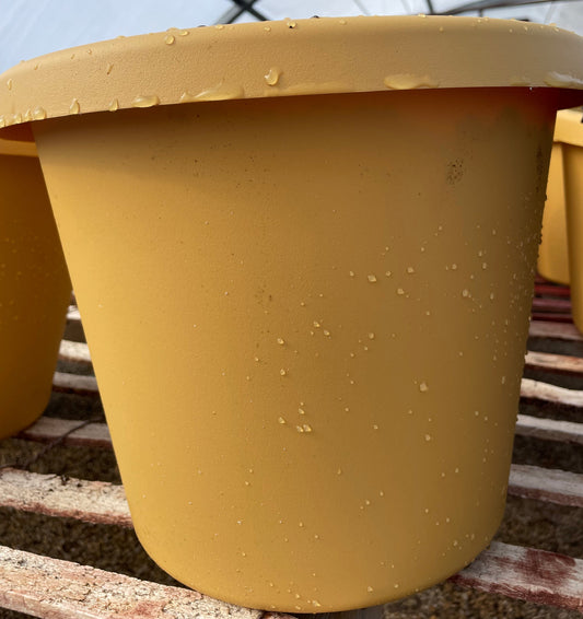 Outdoor Planter - Honey/Plastic